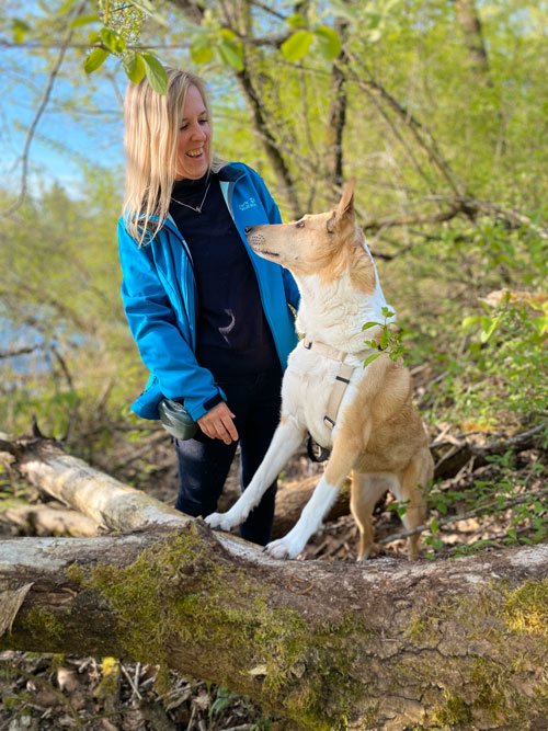 Hundetraining-Borm - Erstgespräch