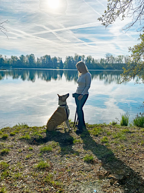 Hundetraining-Borm - Verhaltensberatung