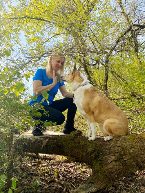 Hundetraining-Borm - Über mich